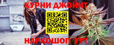индика Лесосибирск