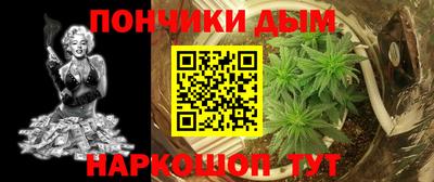 индика Лесосибирск