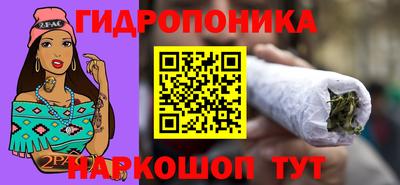 спиды Ливны