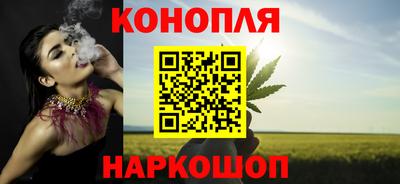 индика Лесосибирск