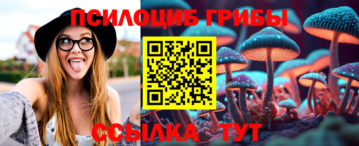 Псилоцибиновые грибы GOLDEN TEACHER  Вход с VPN  Воркута  Псилоцибиновые грибы Psilocybe 